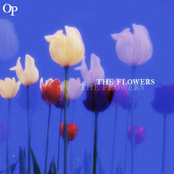 The Flowers - Single