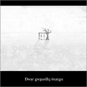 Dwie gwiazdki śniegu