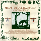 Sleepytime Gorilla Museum: Of Natural History