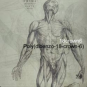 poly dibenzo (18-crown-6)
