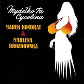 Mydełko Fa (Cycolina)