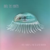 I Took A Slip by Hope Sandoval & The Warm Inventions