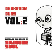 Darkroom Dubs Vol. 2 - Compiled & Mixed By Silicone Soul
