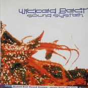 Safari by Wicked Beat Sound System