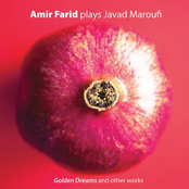 Amir Farid: Amir Farid plays Javad Maroufi