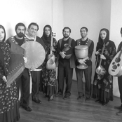 nariman ensemble