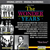 Music from the Wonder Years, Vol. 1