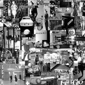 2009 spring / summer