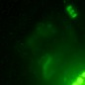 Whispers in the Ether