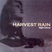 A Cold Bed by Harvest Rain