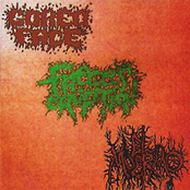 Gored Face / Faeces Eruption / El Muermo