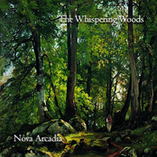 The Whispering Woods