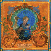 Who Will Save Us Now by Straylight Run