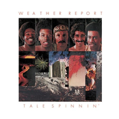 Man In The Green Shirt by Weather Report