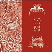 Morbid Upheaval / Abigail