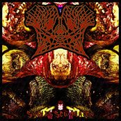 Singles Scumpilation