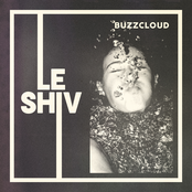 Le Shiv: Buzzcloud