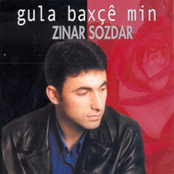 zinar sozdar