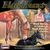 03/Black Beautys Fohlen