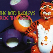 A Part I Know So Well by The Boo Radleys