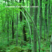 Esquisse d'un Solfège Concert