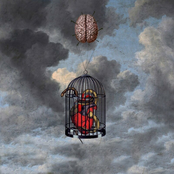 Chrome Coloured Ribcage