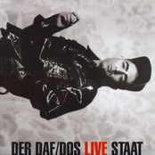 Der DAF/DOS Live Staat
