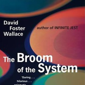 The Broom of the System