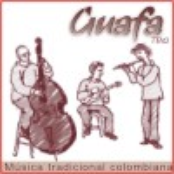 MÚSICA TRADICIONAL COLOMBIANA