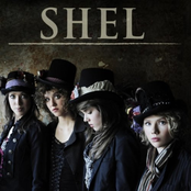 Shel: shel