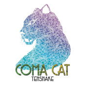 Coma Cat Album Picture