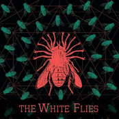 The White Flies