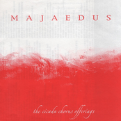 The Cicada Chorus Offerings