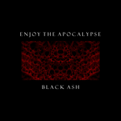 Enjoy the Apocalypse