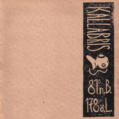 81° n.B., 178° ö.L.