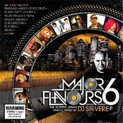 major flavours 6