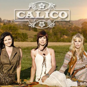 calico the band