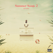 Summer Songs 2 Album Picture