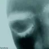 this place is no longer the same place that I once knew.