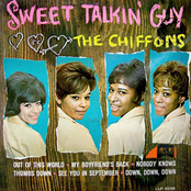 Sweet Talkin' Guy