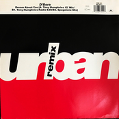 Dream About You (Remixes)