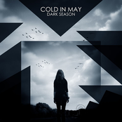 The Reason by Cold In May