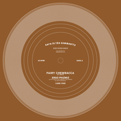 Fairy Chewbacca (Alternative Version)