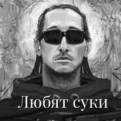 Любят суки