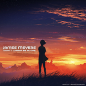 I Don't Wanna Be Alone