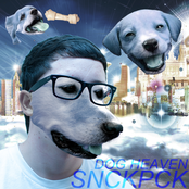 DOG HEAVEN