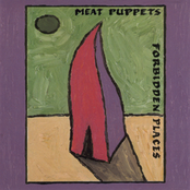 Open Wide by Meat Puppets