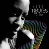 Cool Tributes Vol.2 - Pop Standards Revisited