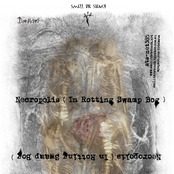 Necropolis ( In Rotting Swamp Bog ) Album Picture