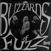 The Buzzards of Fuzz